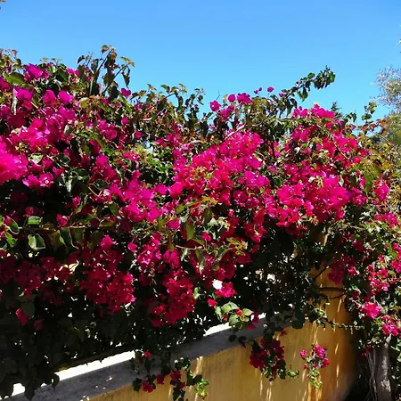 Cala Sinzias Al Mare Villa *